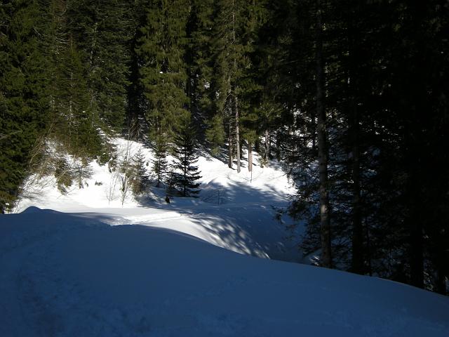 DSCN5116.JPG