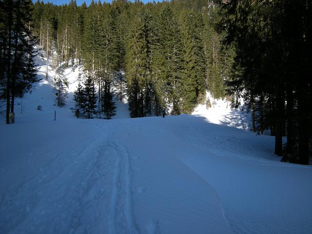 DSCN5119.JPG