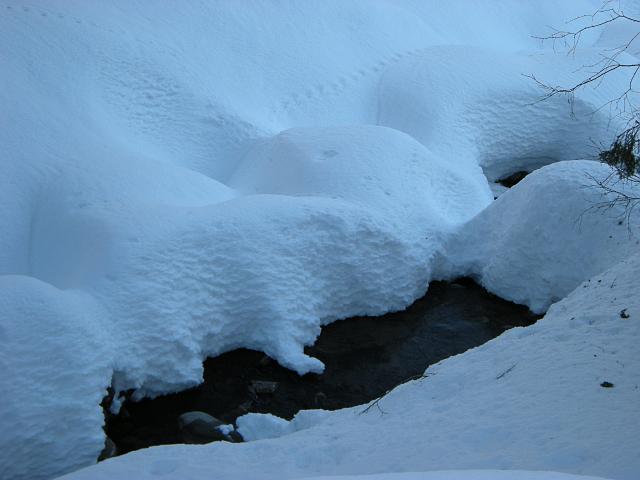 DSCN5127.JPG