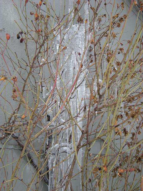 DSCN5163.JPG
