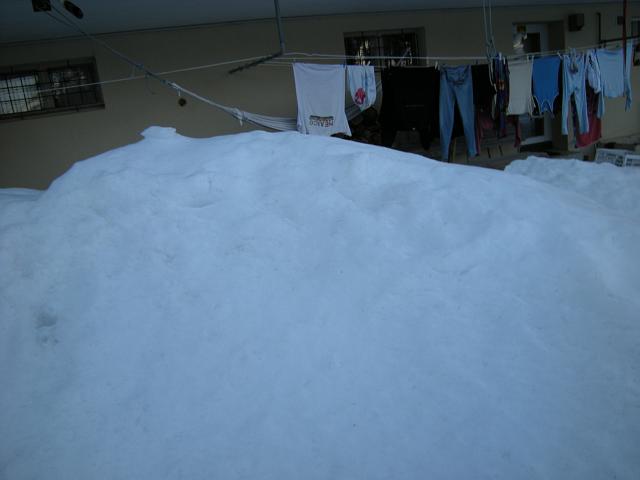 DSCN5264.JPG