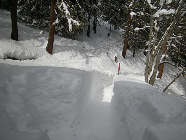 DSCN5305.JPG