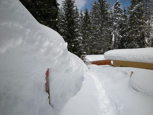 DSCN5310.JPG