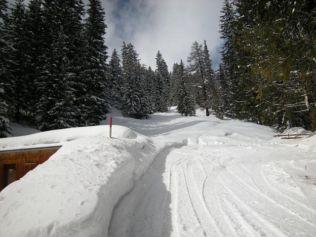 DSCN5313.JPG