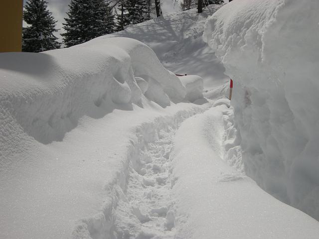 DSCN5319.JPG