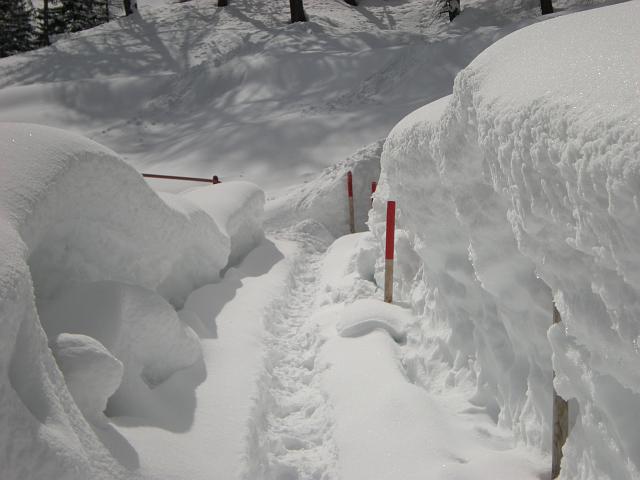 DSCN5321.JPG