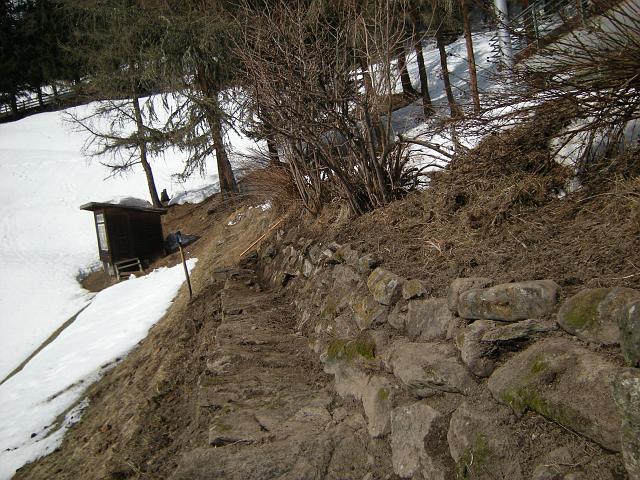 DSCN5377.JPG - Freilegung der Gartenmauer