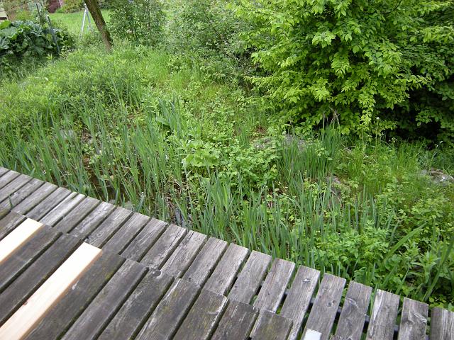 Bildweg24_0846a.jpg - Teich vor meinem Studio