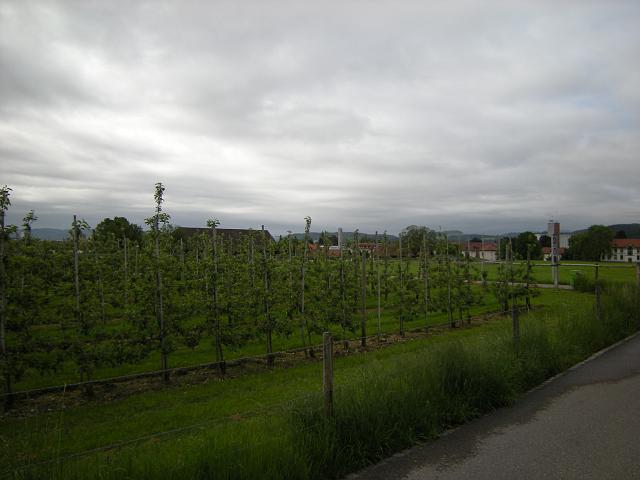 Bildweg24_0847a.jpg - in diese Richtung ist 100m die Psychische Klinik von Wil, 800m der Bahnhof Wil und rund 15km die Churfirsten