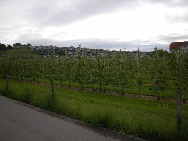 Bildweg24_0847b.jpg - Der Oelberg