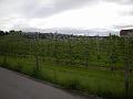Bildweg24_0847b