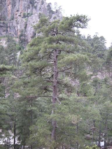 DSCN5739.JPG