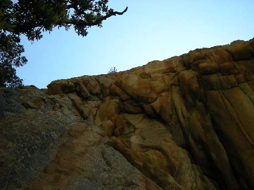 DSCN5917.JPG