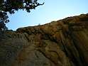 DSCN5917