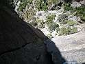 DSCN5955