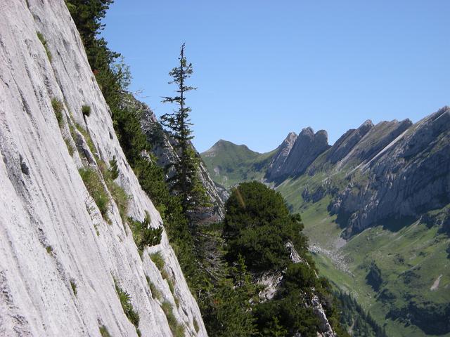 DSCN6117.JPG