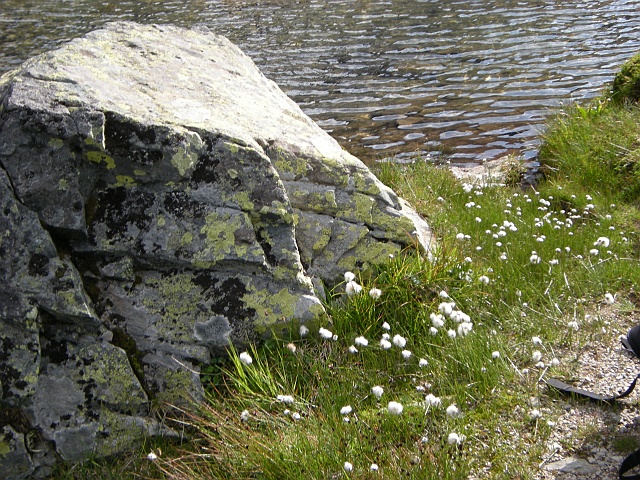 DSCN6171.JPG
