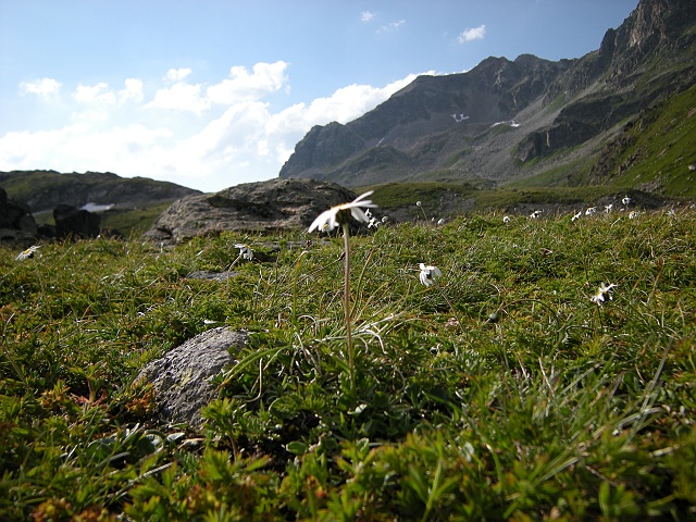 DSCN6179.JPG