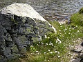DSCN6171