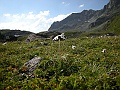 DSCN6179