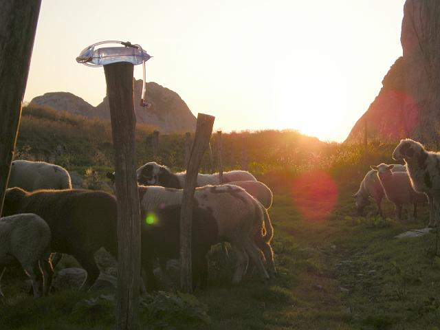 DSCN6381.JPG - Morgenstimmung