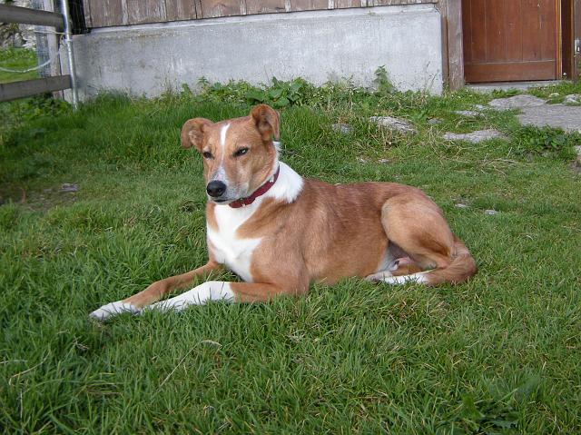 DSCN6390.JPG - Lupo