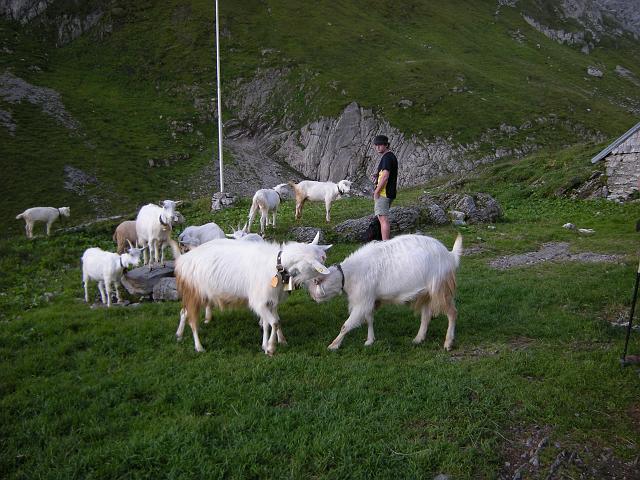 DSCN6391.JPG