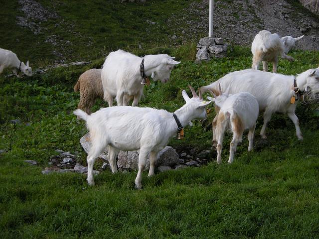 DSCN6393.JPG