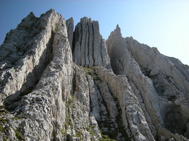 DSCN6402.JPG - Schmal Südrippli