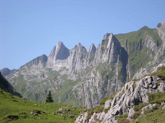 DSCN6413.JPG