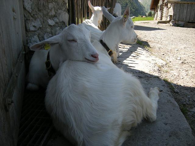 DSCN6415.JPG