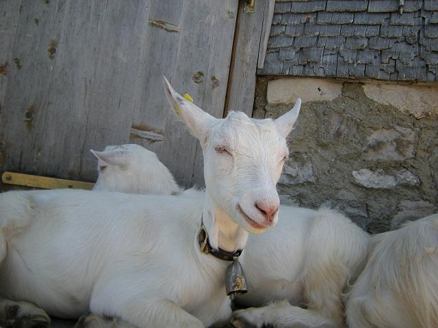DSCN6416.JPG