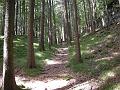 DSCN6324