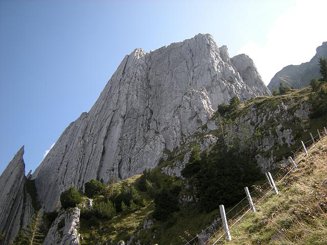 DSCN6488.JPG