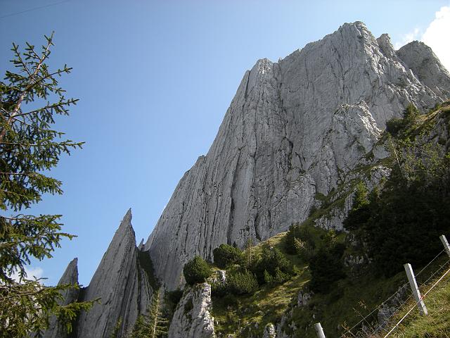 DSCN6490.JPG