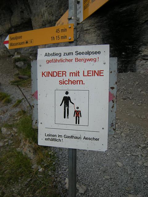DSCN6523.JPG