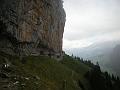 DSCN6522