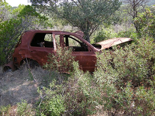 DSCN6610.JPG - ein vergessenes Auto