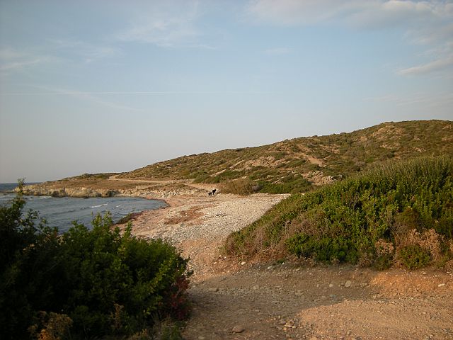 DSCN6658.JPG