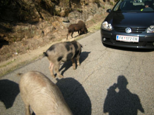 DSCN6832.JPG - Durchfahrt erschwert ...