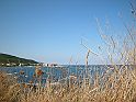 DSCN6571