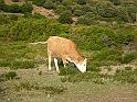 DSCN6585