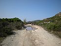 DSCN6631