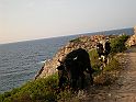 DSCN6657