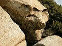 DSCN6676