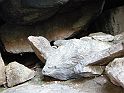 DSCN6712