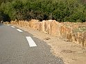 DSCN6750