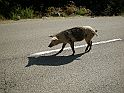 DSCN6839