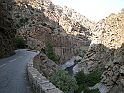 DSCN6865