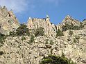 DSCN6872